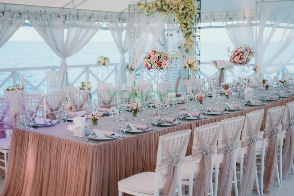 Resin Chiavari Chair(Tiffany Chair) 16(1).png